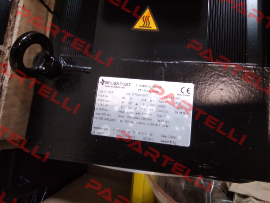 VT100A4I00007 Brusatori