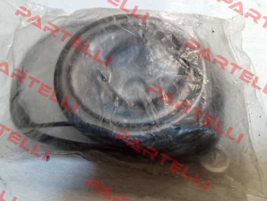 ARS/ARSW Seal Kit Brevini