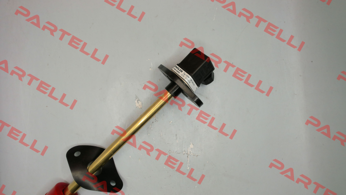 SSM.1.B5.180.5.S1 Engler