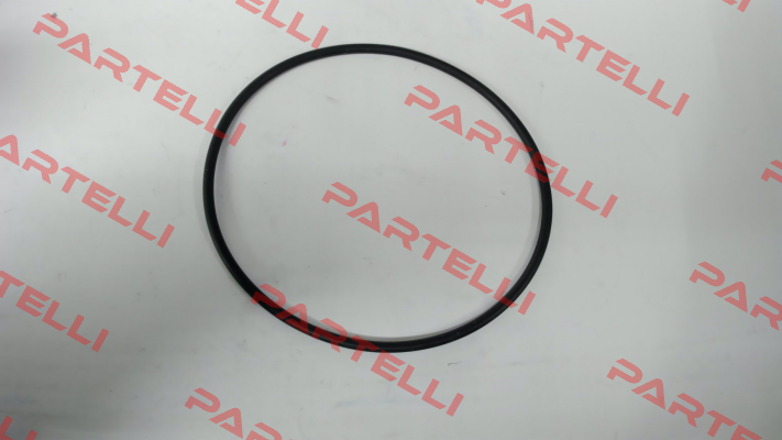 O-ring for filter type FM DN 50 Madas