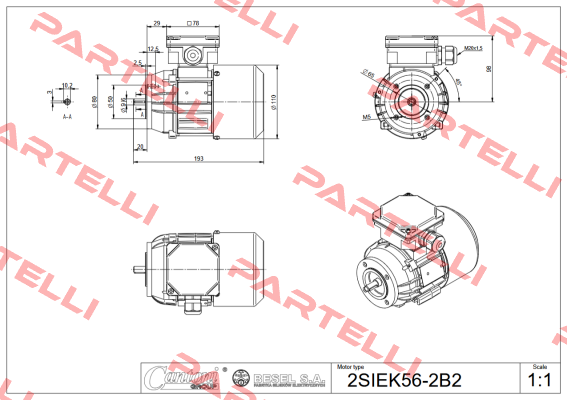 2SIEK56x-4C2 BESEL S.A.