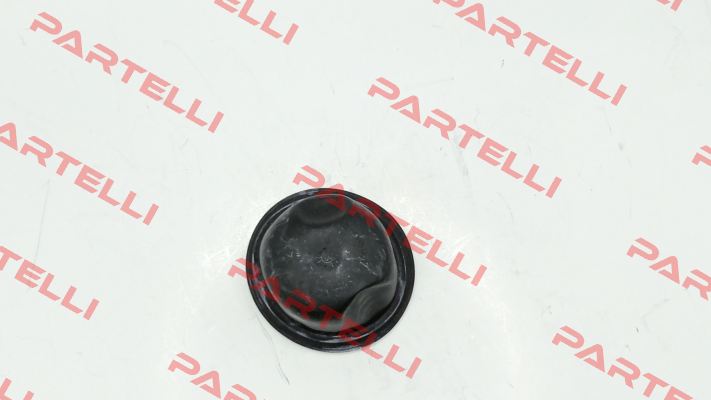 A04246874 MAHLE