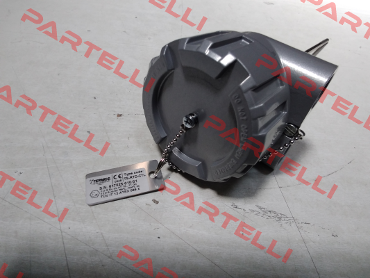 TS-RTD-CTL Termics