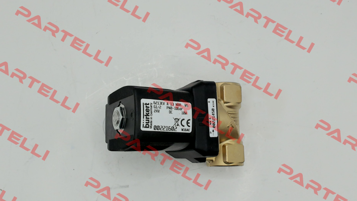 P/N: 00221602, Type: 6213 Burkert