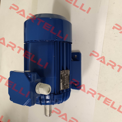 1108B004025IE3B type 3SIE 080B-4 Cantoni