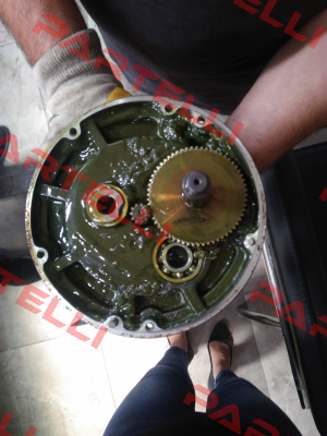 RNS 3H02S165-Y Sesame Motor