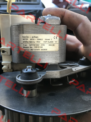 WFFB1202-015 - Part of: DSF133-42  Torin-Sifan