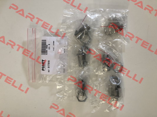 8177019 Pinet
