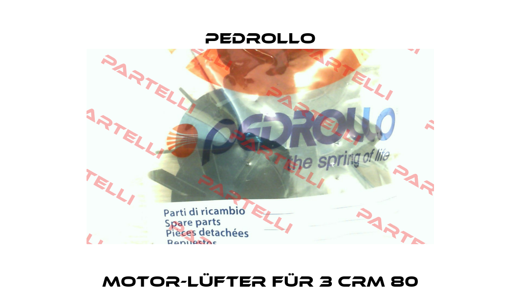 Motor-Lüfter für 3 CRm 80 Pedrollo