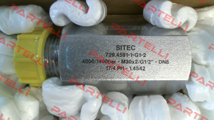 729.4591-1-G1-2 / b SITEC