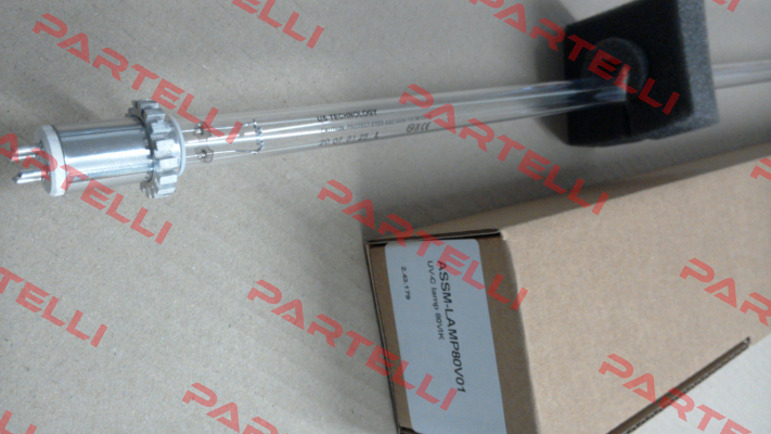ASSM-LAMP80V01 Berson