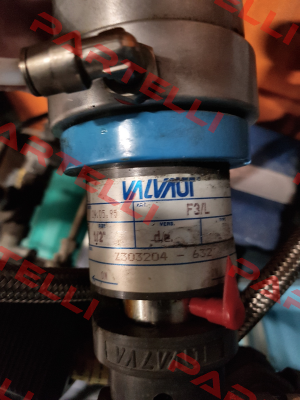 Z303204 Valvaut