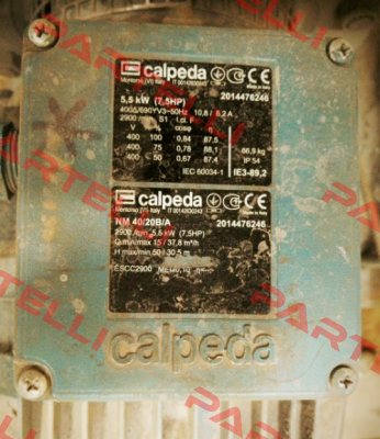 16006080000 Calpeda