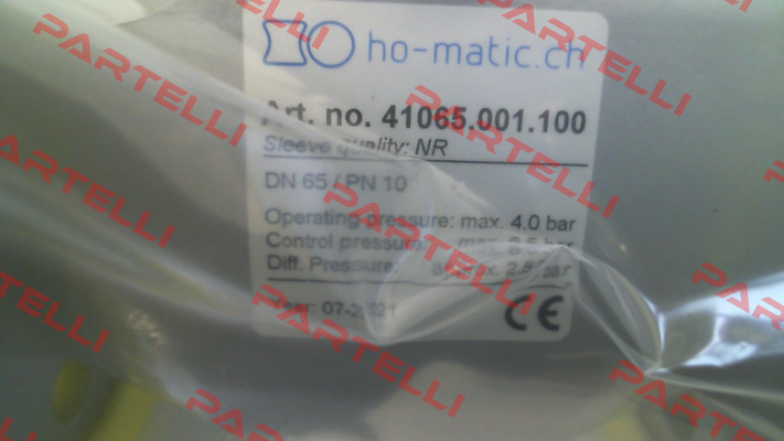 41065.001.100 (QSV65 F) Ho-Matic AG