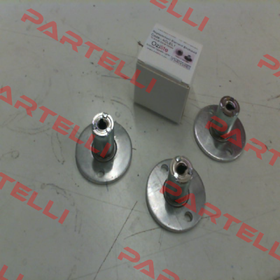ACLEL1 Ozilite - Automatic