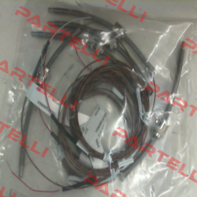 10DJFGB060A Watlow