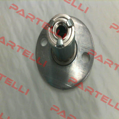 ACLEL1 Ozilite - Automatic