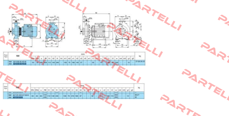 NM 32/12 FE-60 380V-60Hz R3-X7X72Z7  Calpeda