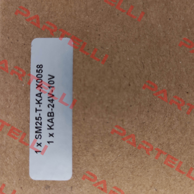 SM25-T-KA-X0058 EDDYLAB