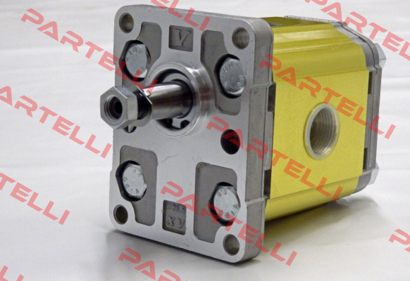 XV-2M/11 cm3/rev X2M4701EBBE Vivoil Oleodinamica Vivolo