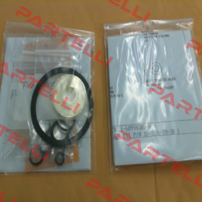 11-6099N301-HF4 SC Hydraulic