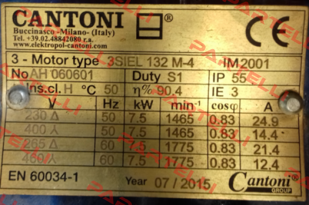 DS-Motor 3 SIEL 132 M-4 Cantoni