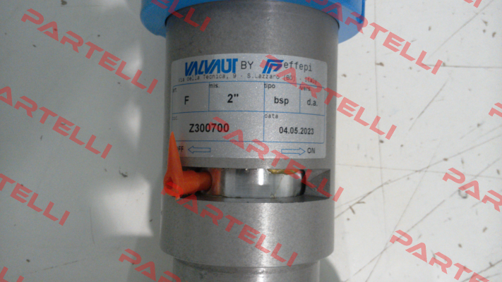 Z300700 Valvaut