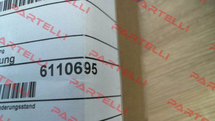 6110695 Baumann