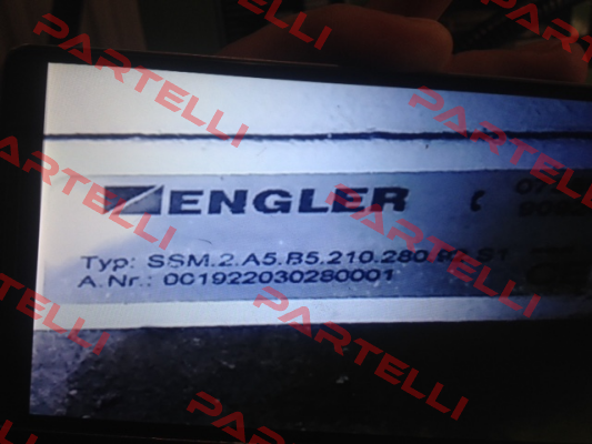 SSM.2.A5.B5.210.280.92.S1 Engler
