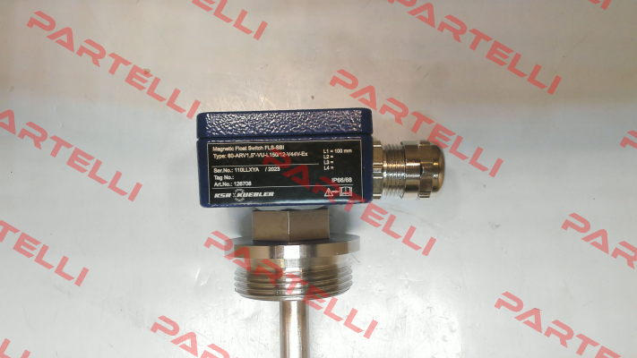 60-ARV1,5"-VU-L150/12-V44V-Ex KFG Level AG